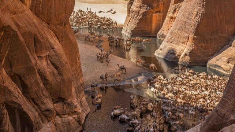 Our Top 5 Best Places To Visit In Chad: